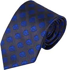 Boise State Broncos Donegal Bay Bronco Necktie (Grey/Blue)