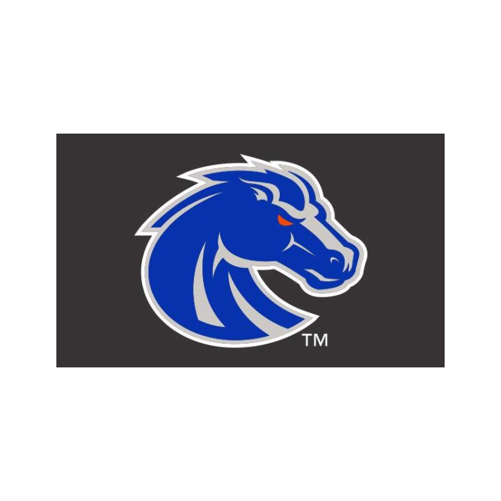 Boise State Broncos Sewing Concepts Deluxe 3x5 Flag (Black)