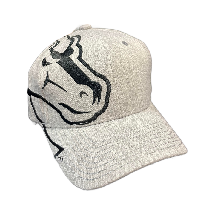 Boise State Broncos Zephyr Rivalry Flex Fit Hat (Grey/Black)