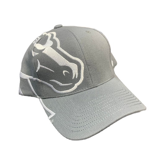 Boise State Broncos Zephyr Rivalry Flex Fit Hat (Grey/White)