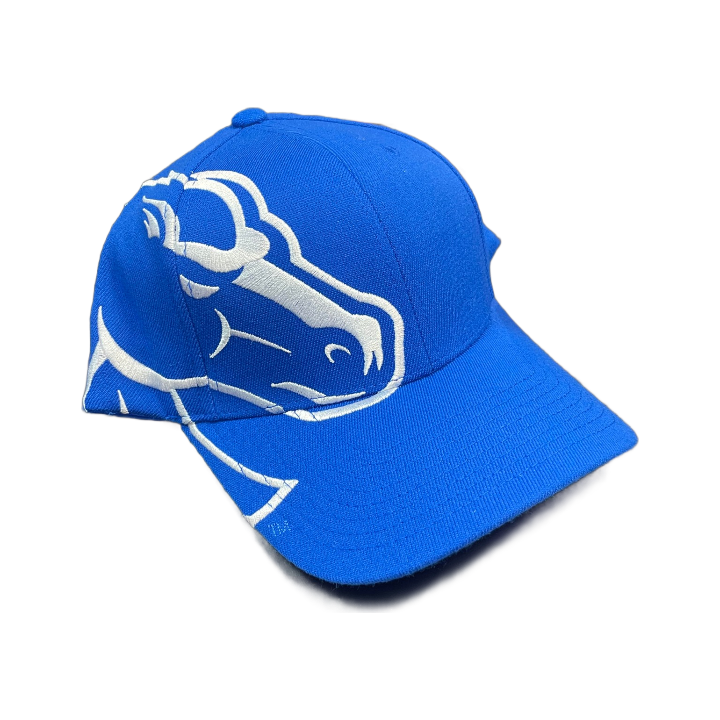 Boise State Broncos Zephyr Rivalry Flex Fit Hat (Blue/White)