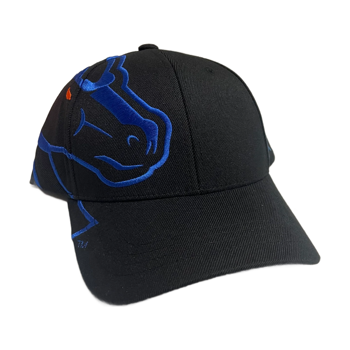 Boise State Broncos CapX Rivalry Flex Fit Hat (Black/Blue)