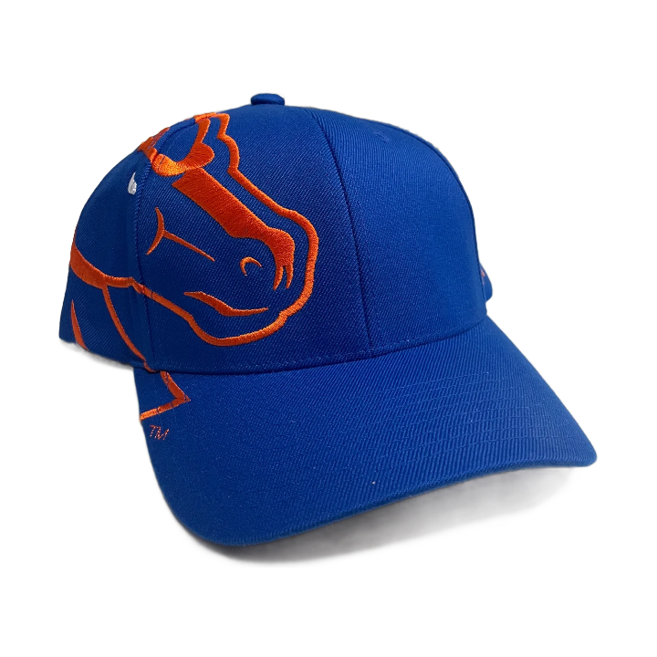 Boise State Broncos CapX Rivalry Flex Fit Hat (Blue/Orange)