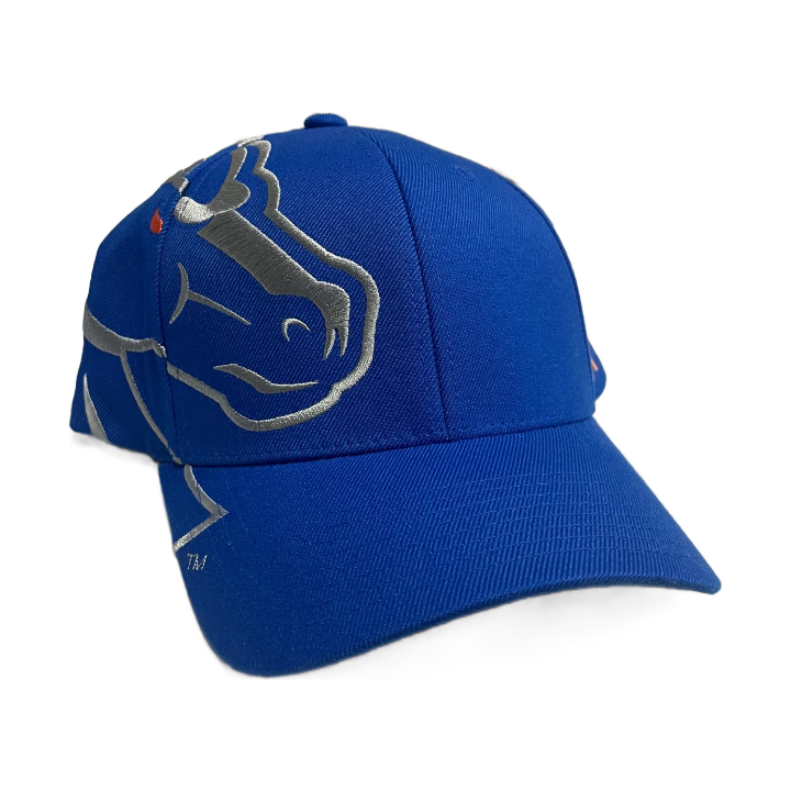 Boise State Broncos CapX Rivalry Flex Fit Hat (Blue/Grey)