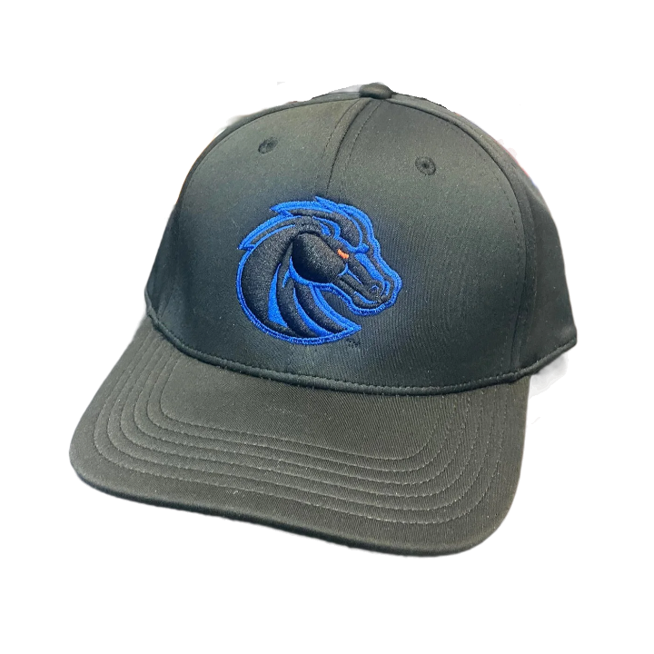 Boise State Broncos Legacy Black Out Flex Fit Hat (Black)