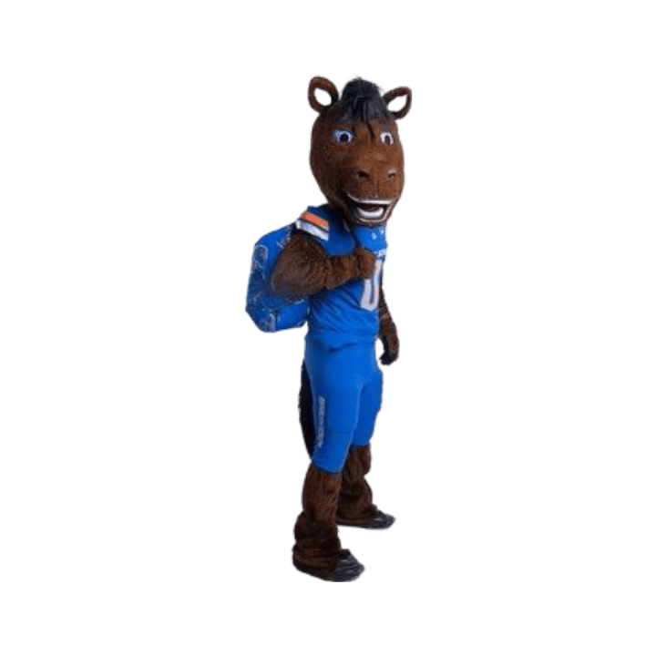 Boise State Broncos Minky Couture Hooded Stadium Blanket