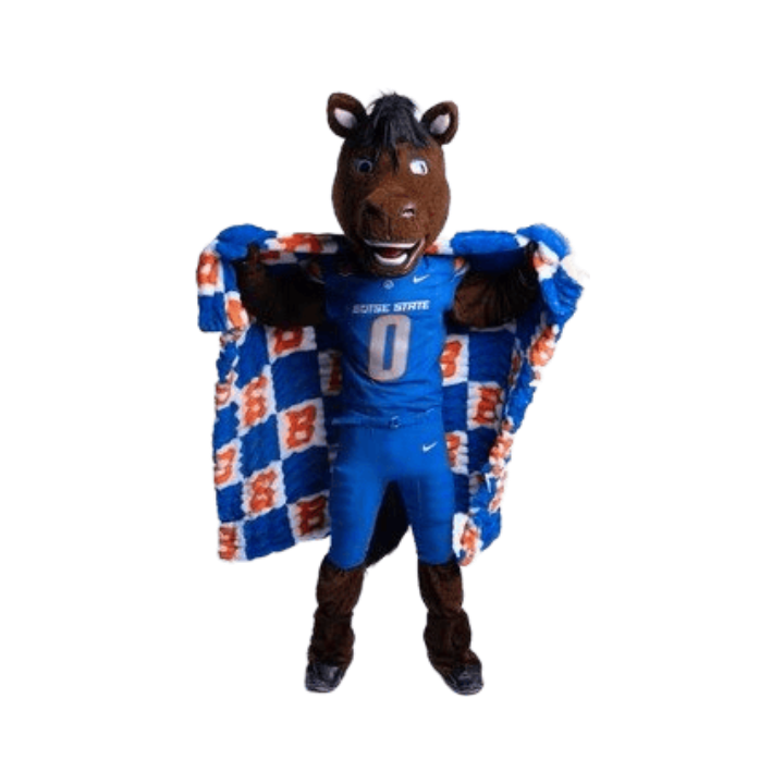 Boise State Broncos Minky Couture 50" x 60" Hugs Blanket