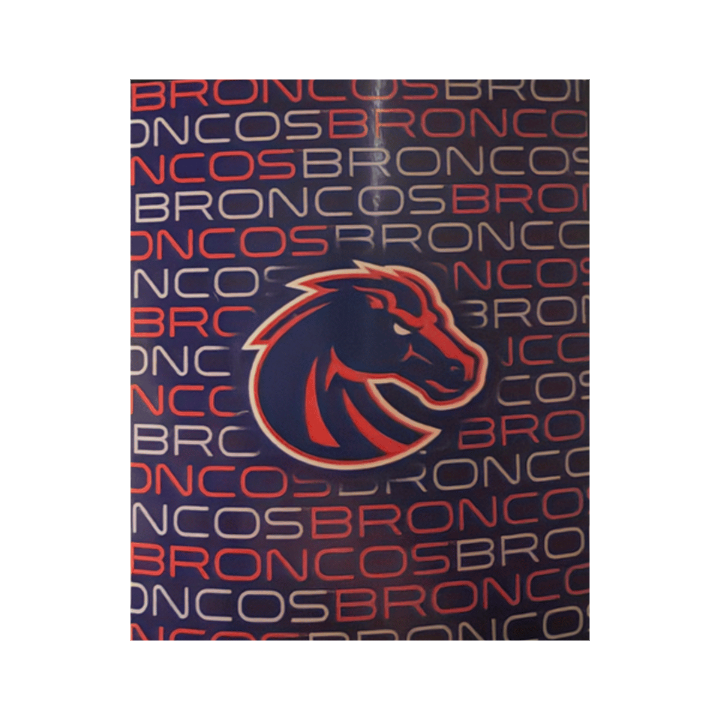 Boise State Broncos Logo Brands Classic Fleece Blanket