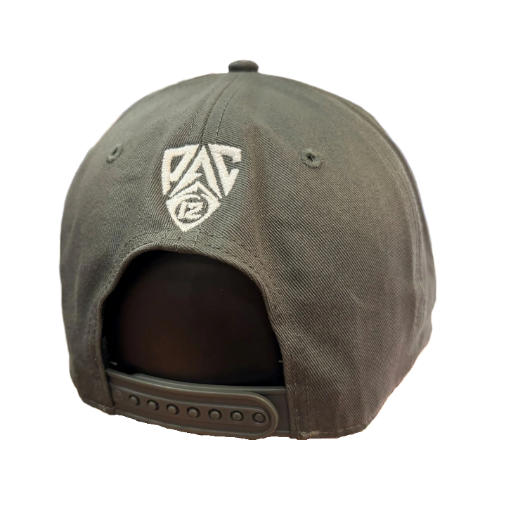 Boise State Broncos 47Brand Hitch Pac-12 Snapback Hat (Grey)