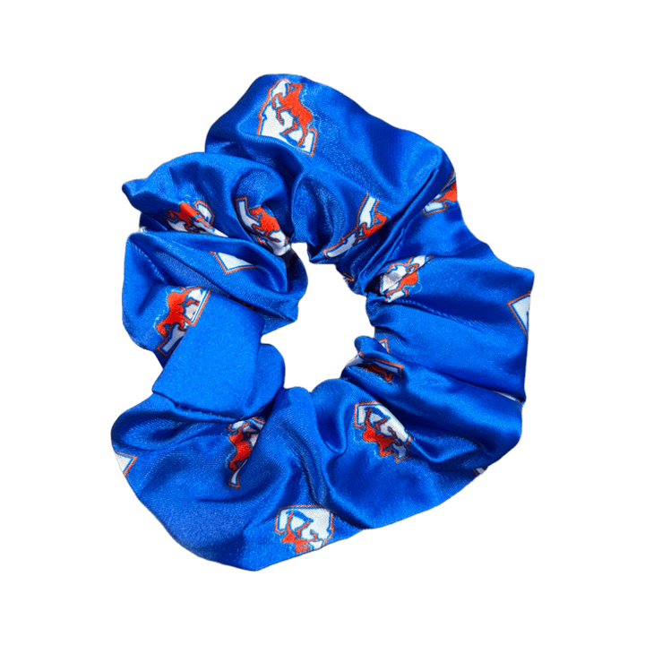 Boise State Broncos ZooZatz Scrunchie (Blue)