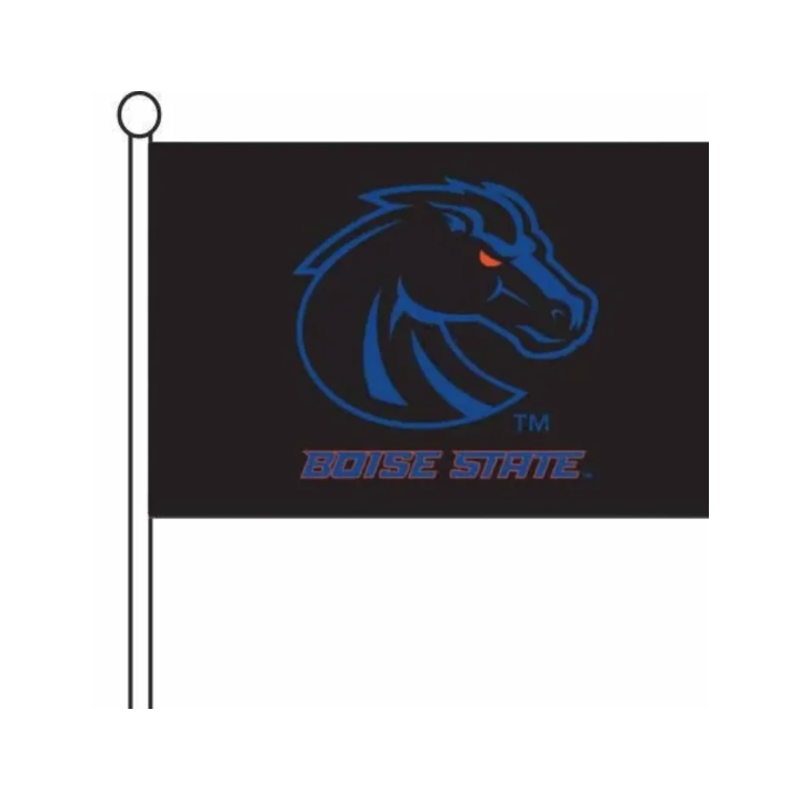 Boise State Broncos Sewing Concepts Car Flag (Black)