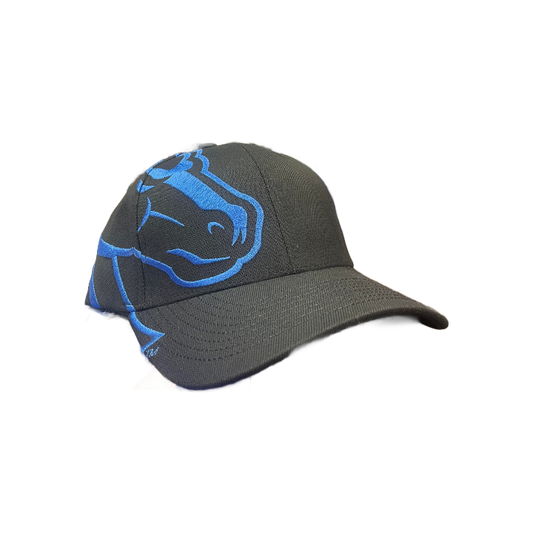 Boise State Broncos Zephyr Rivalry Flex Fit Hat (Black/Blue)