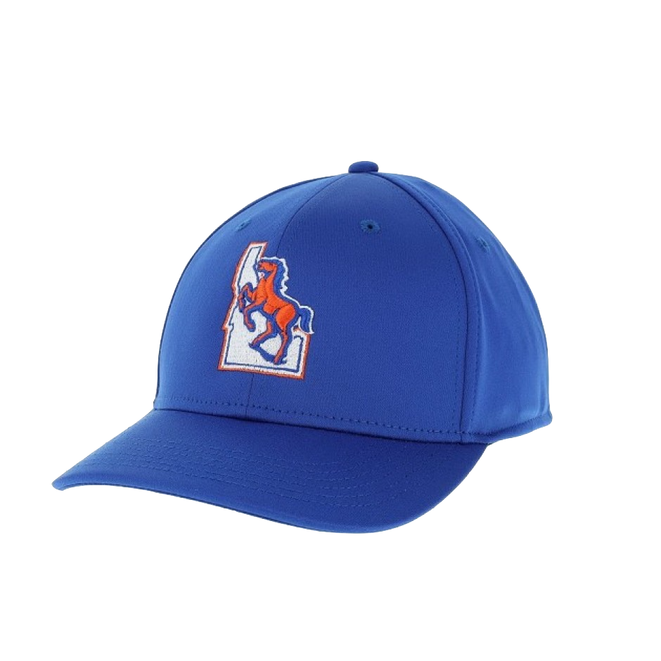Boise state shop football hats