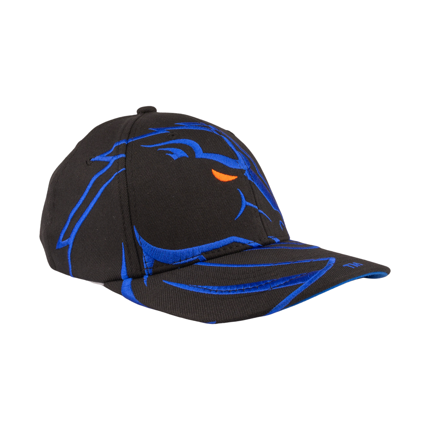 Boise State Broncos CapX Revamped Rivalry Flex Fit Hat (Black/Blue)