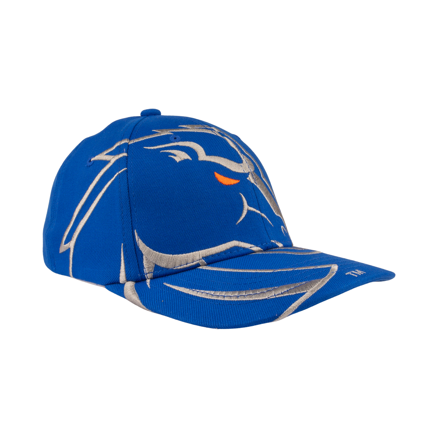 Boise State Broncos CapX Revamped Rivalry Flex Fit Hat (Blue/Grey)