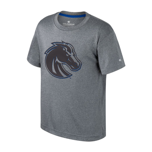 Boise State Broncos Colosseum Youth Dri-Fit T-Shirt (Grey)