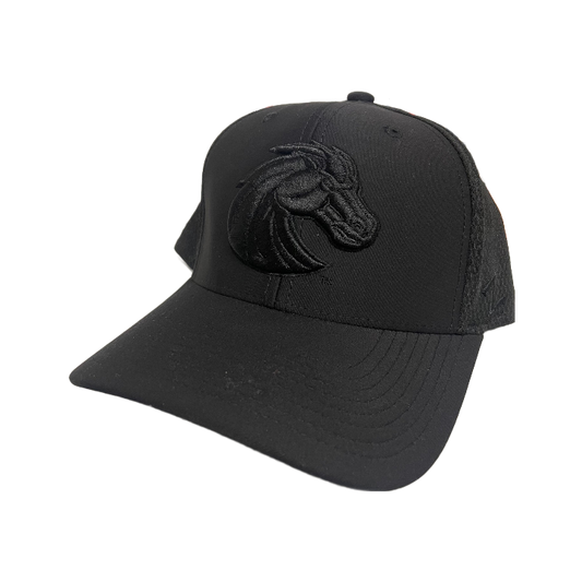Boise State Broncos Zephyr Mesh Flex Fit Hat (Black)