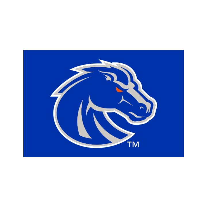 Boise State Broncos Sewing Concepts Deluxe 3x5 Flag (Blue/Grey)
