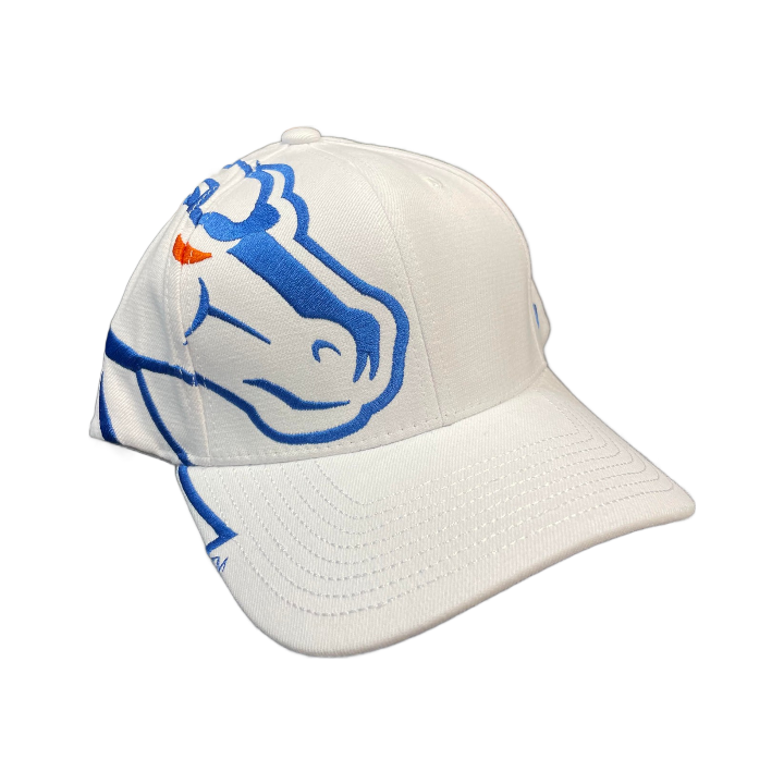 Boise State Broncos Zephyr Rivalry Flex Fit Hat (White/Blue)