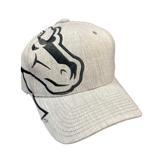 Boise State Broncos Zephyr Rivalry Flex Fit Hat (Grey/Black)