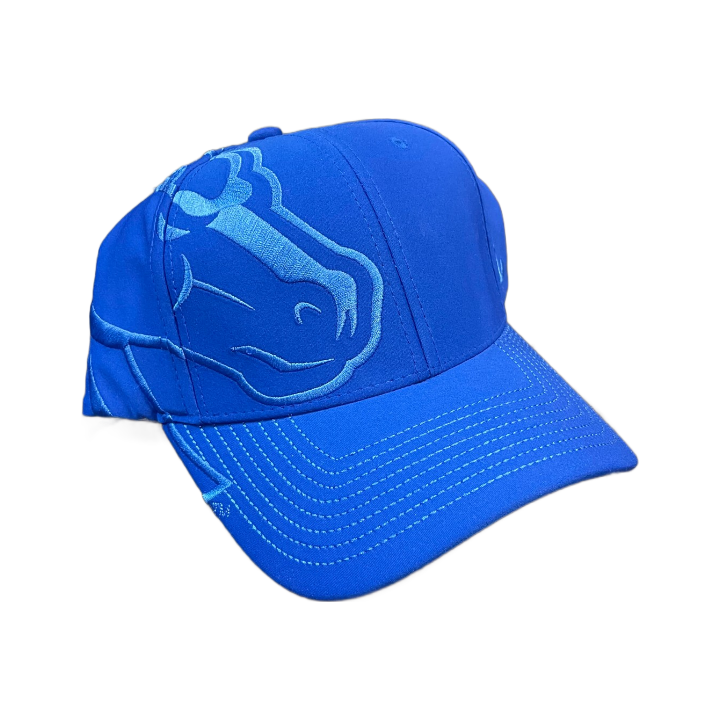 Boise State Broncos Zephyr Rivalry Flex Fit Hat (Blue)