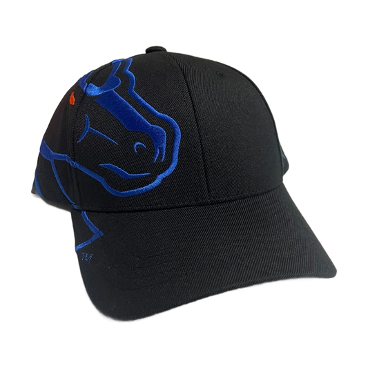 Boise State Broncos CapX Rivalry Flex Fit Hat (Black/Blue)