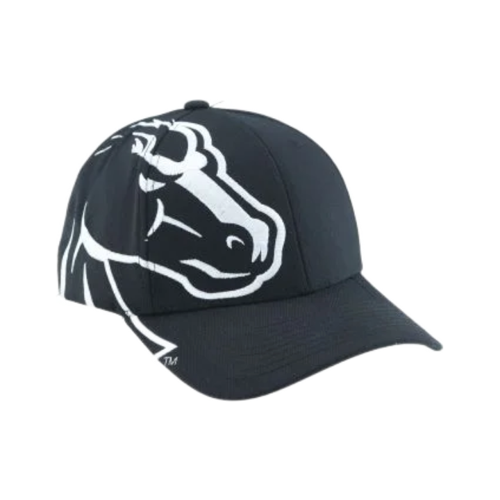 Boise State Broncos Zephyr Rivalry Flex Fit Hat (Black/White)
