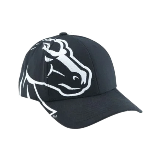 Boise State Broncos Zephyr Rivalry Flex Fit Hat (Black/White)