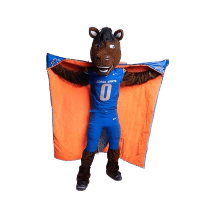 Boise State Broncos Minky Couture Hooded Stadium Blanket
