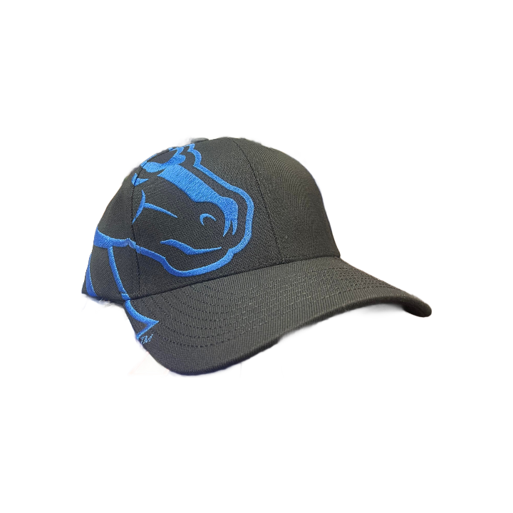 Boise State Broncos Zephyr Rivalry Flex Fit Hat (Black/Blue)