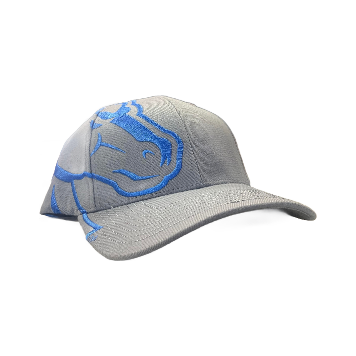 Boise State Broncos Zephyr Rivalry Flex Fit Hat (Grey/Blue)