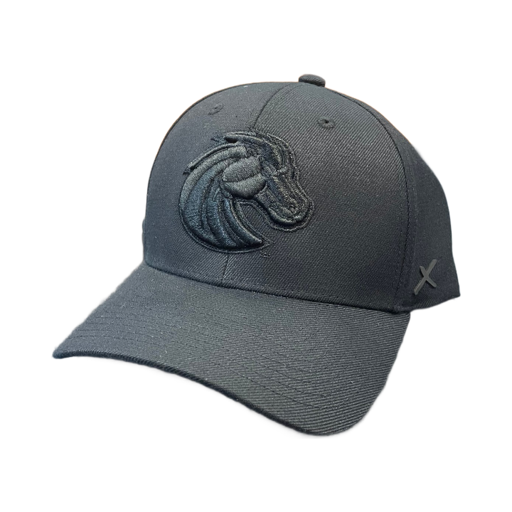 Boise State Broncos CapX Bronco Flex Fit Hat (Black)